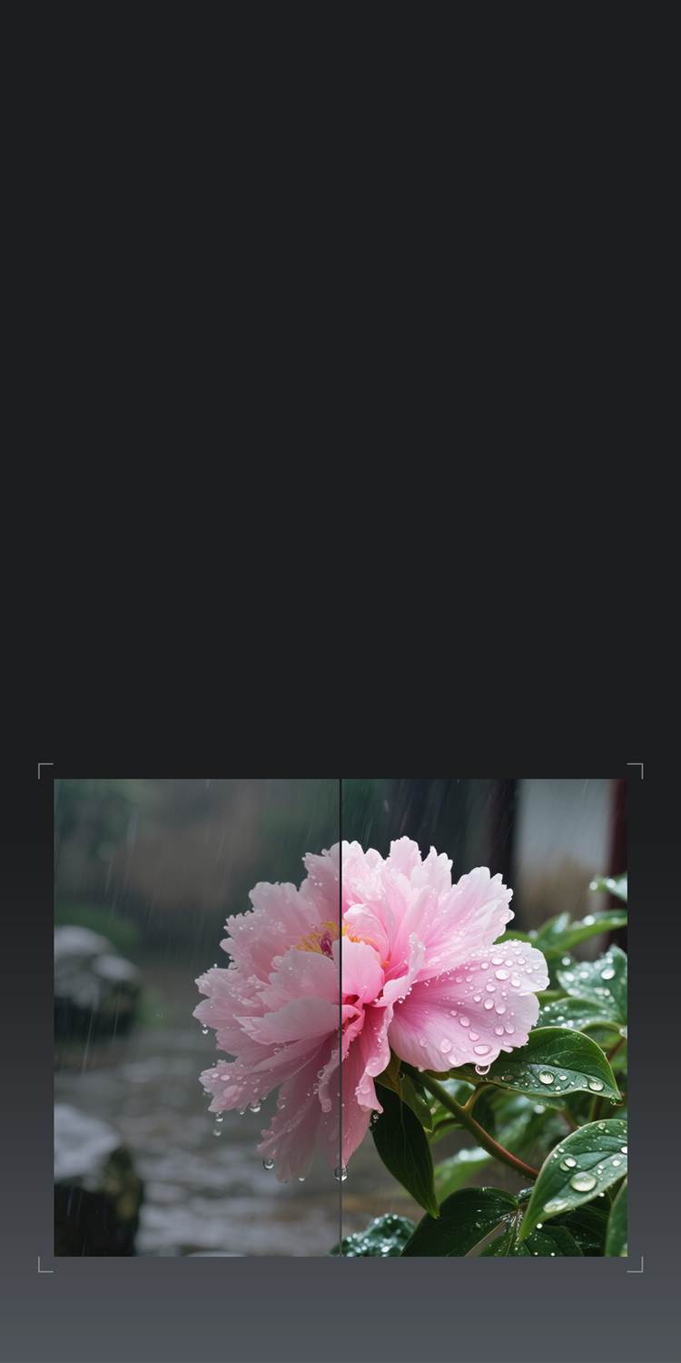 ISP與多媒體處理技術(shù)